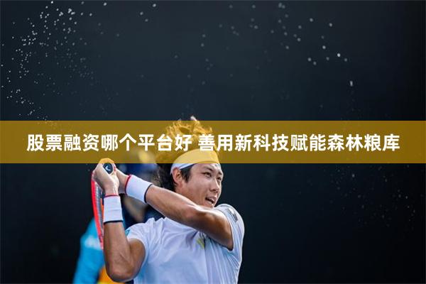 股票融资哪个平台好 善用新科技赋能森林粮库