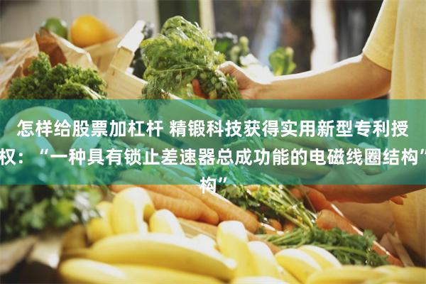 怎样给股票加杠杆 精锻科技获得实用新型专利授权：“一种具有锁止差速器总成功能的电磁线圈结构”