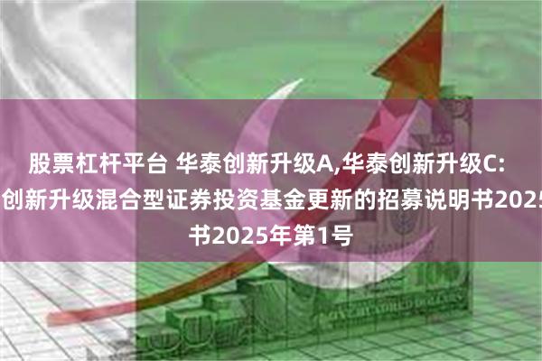 股票杠杆平台 华泰创新升级A,华泰创新升级C: 华泰柏瑞创新升级混合型证券投资基金更新的招募说明书2025年第1号
